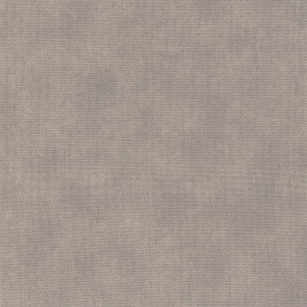 Moleskin Grey 206