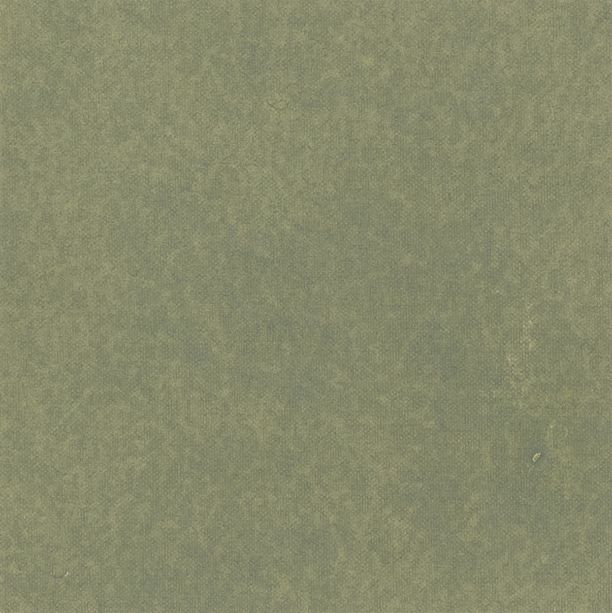 Moss Green 205
