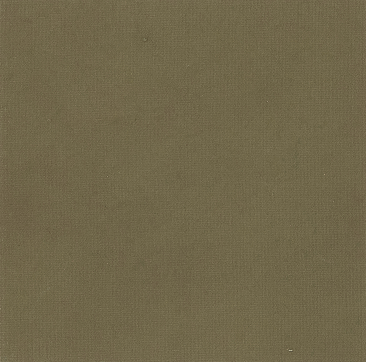 Olive Green 164