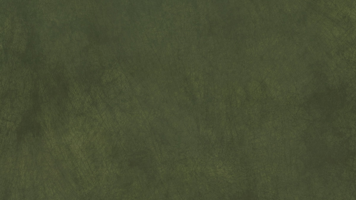 Olive 102