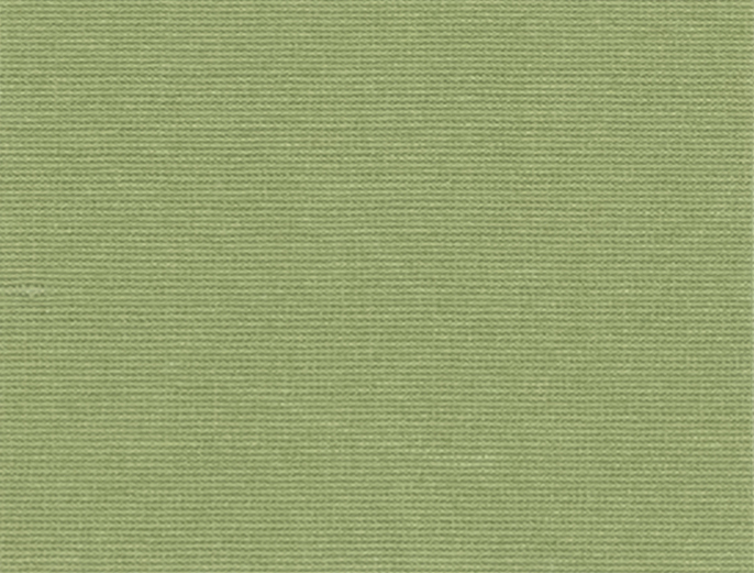 Lawn Grass 124