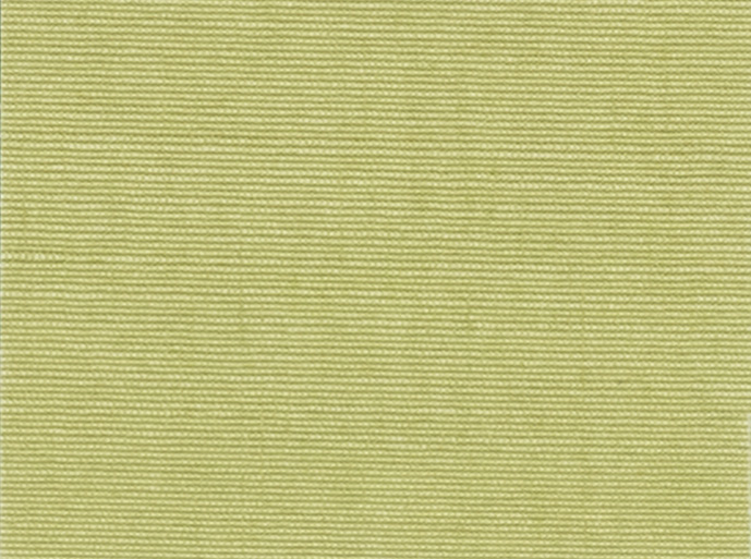 Olive 102