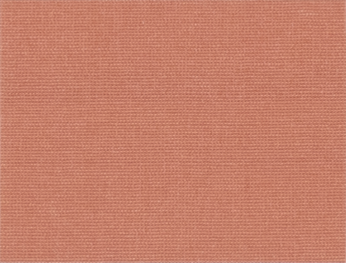 Raspberry 53