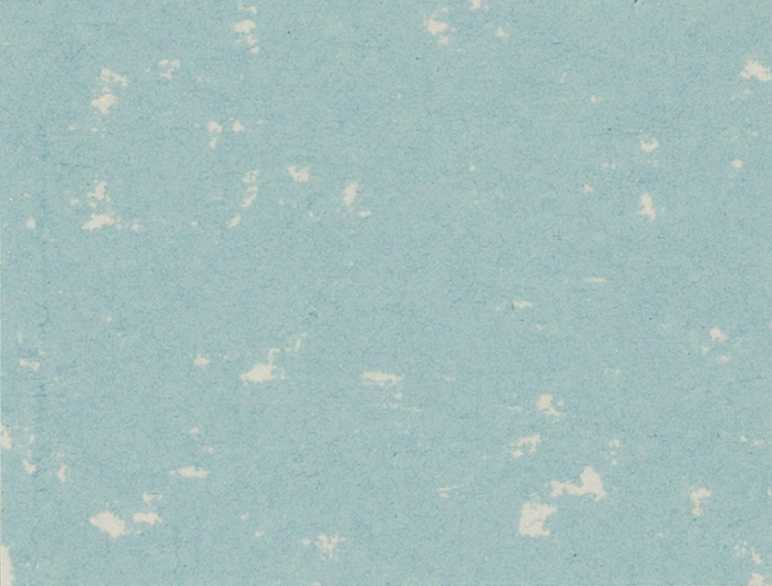 Duck Egg 95