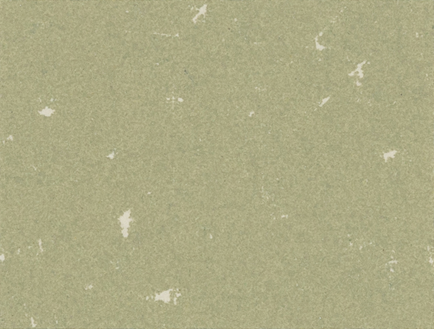 Sage Green 211