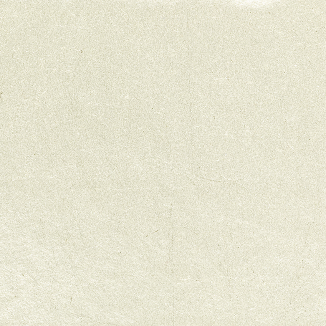 Champagne Silver (TR)