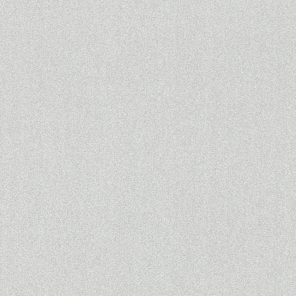 Oyster Shell