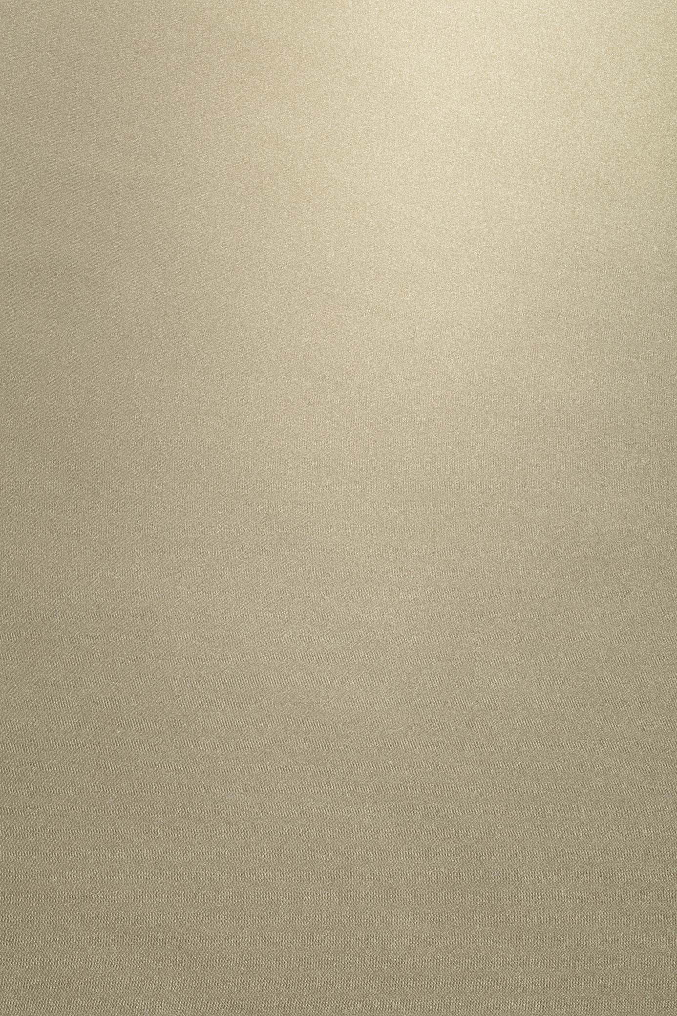 New Faint Gold metallic silk