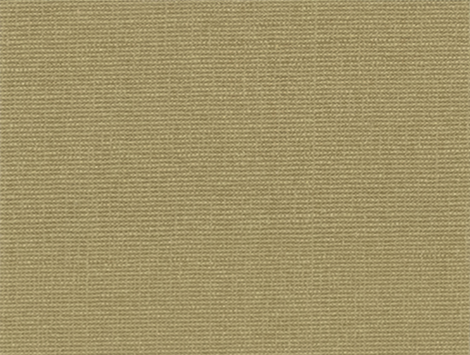 Canella 20