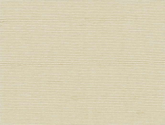 Polar Bear 52