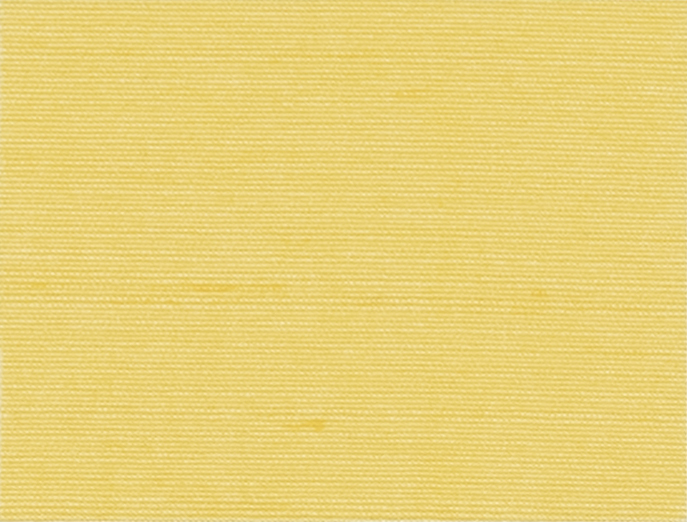 Yellow 101