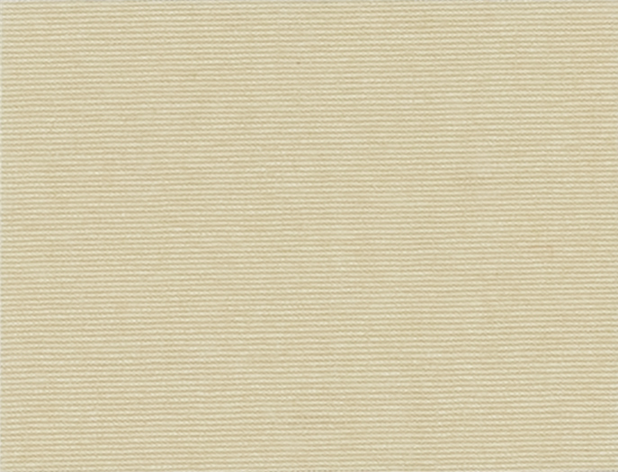 Raw Silk 22