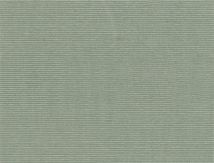 Eucalyptus 2