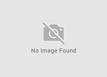 No image found