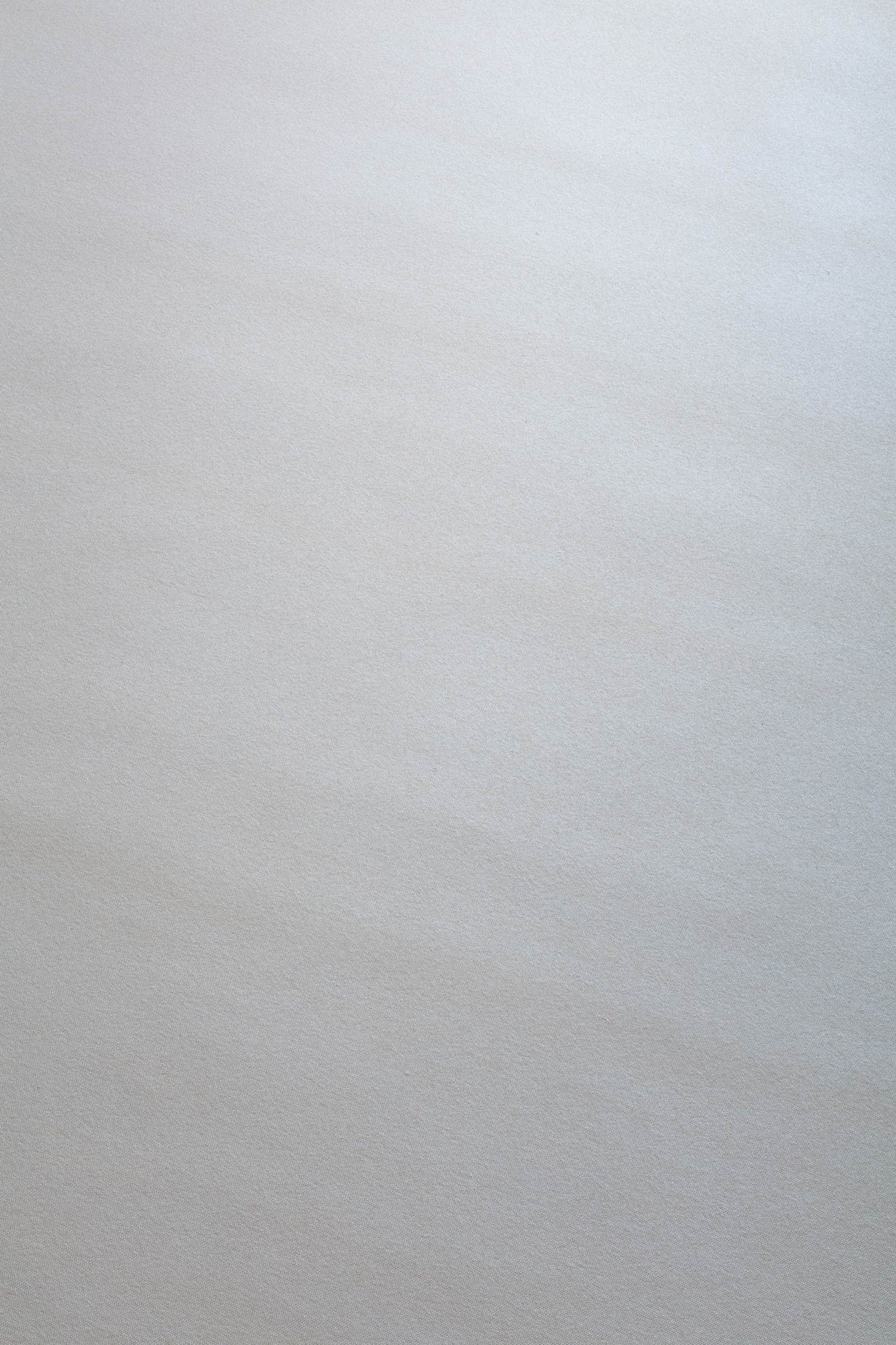 Metallic Silk