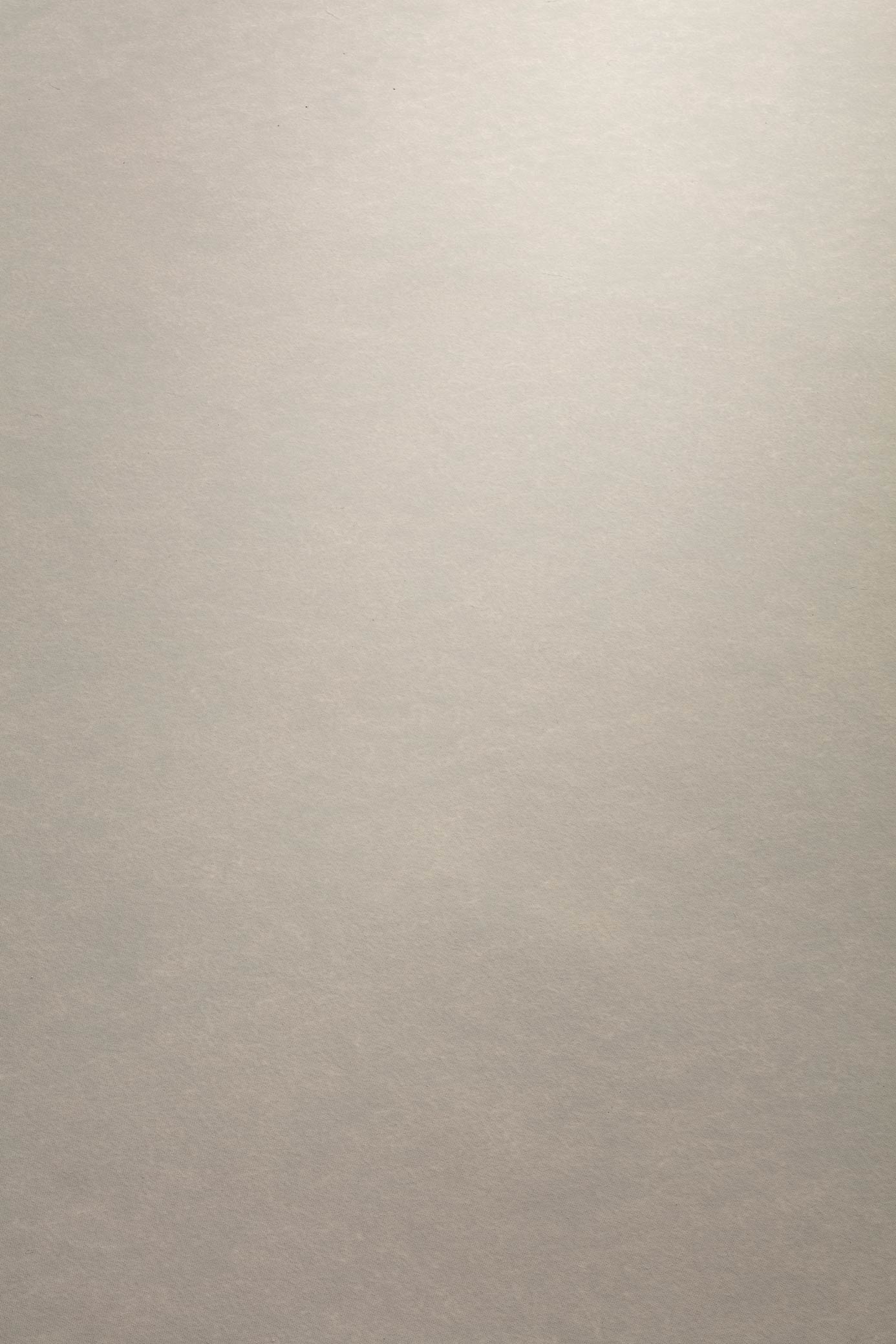 Metallic Silk