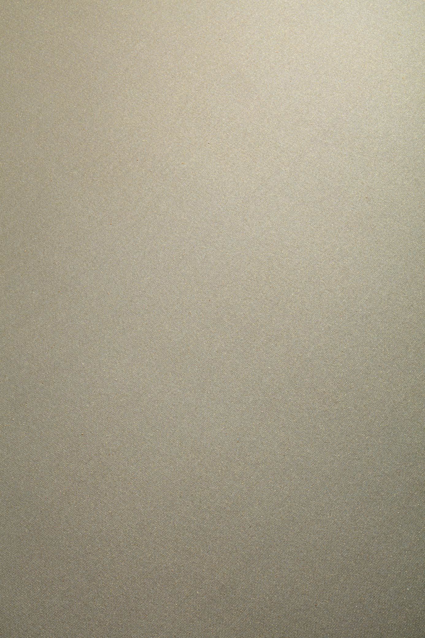 Metallic Silk