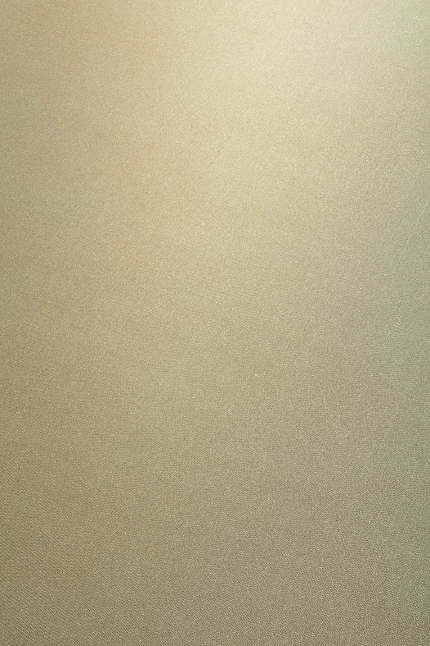Metallic Silk