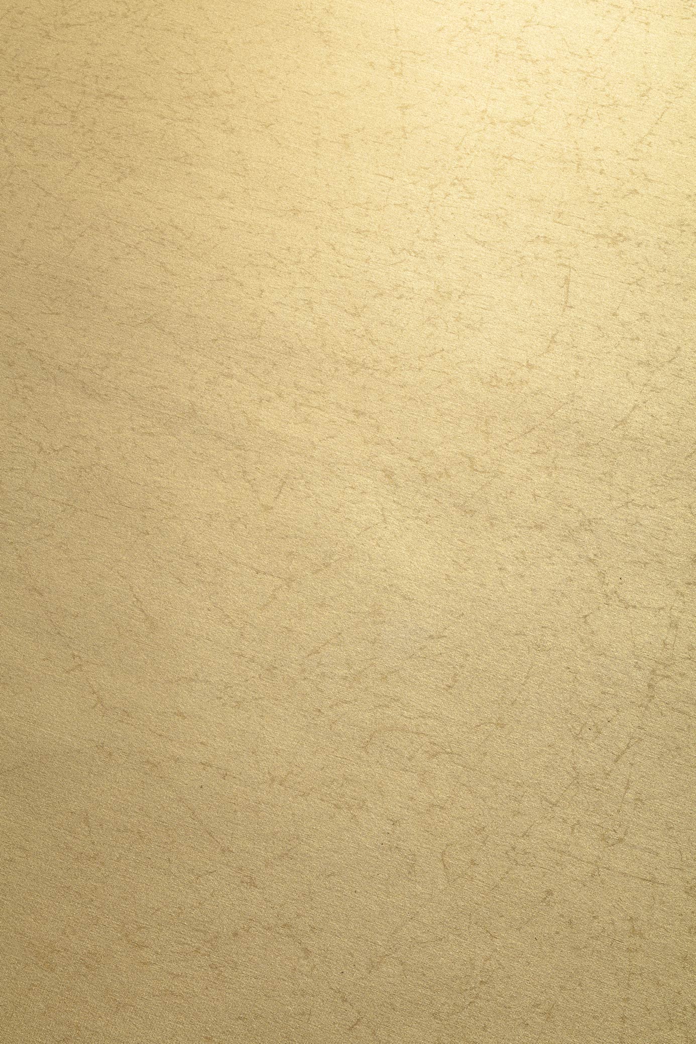 Metallic Silk